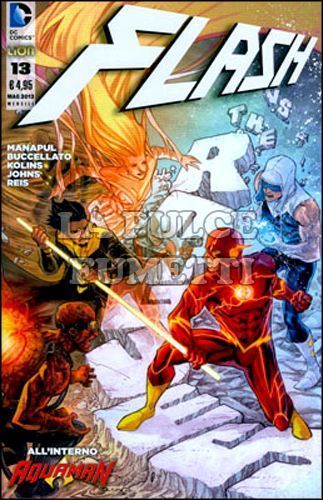 FLASH #    13